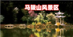 操骚逼www.